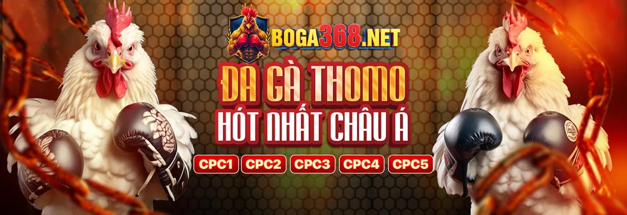 Ứng dụng 68win12 nhà cái trên điện thoại